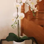 בית נופש Casa Vazquez