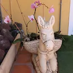 Casa Vazquez * קוסטה דל סילנסיו
