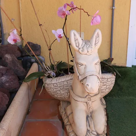 Casa Vazquez * طوستا ديل سيلونثيو