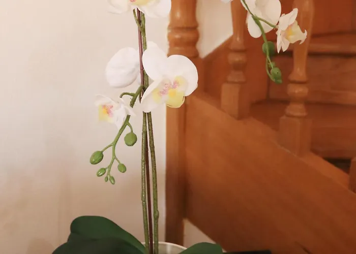 Prázdninový dům Casa Vazquez